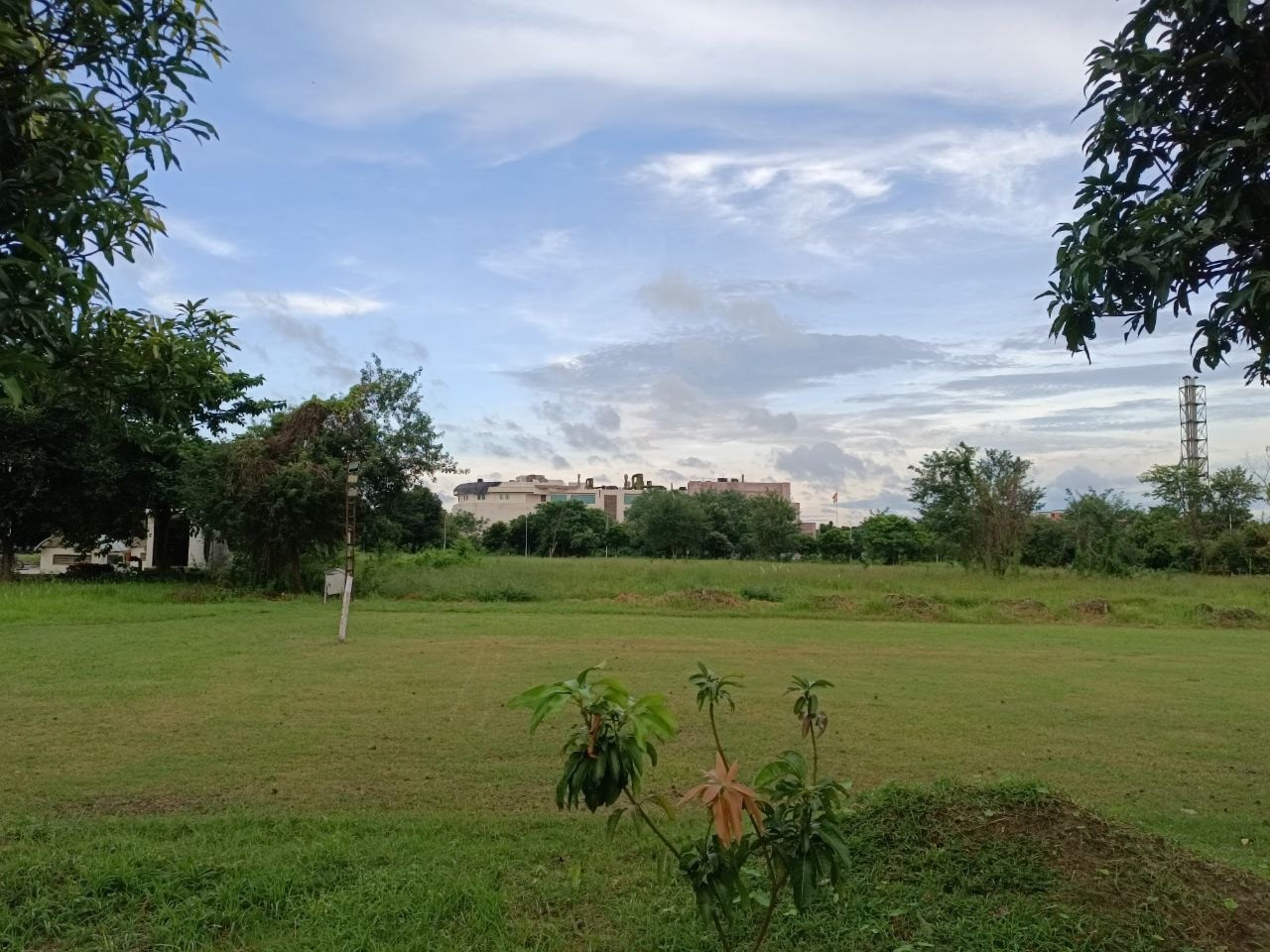 scene6.jpg